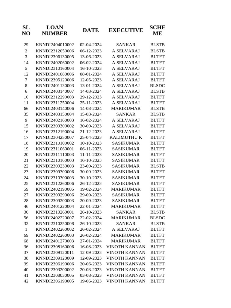 Loan Details and Borrower Information | PDF