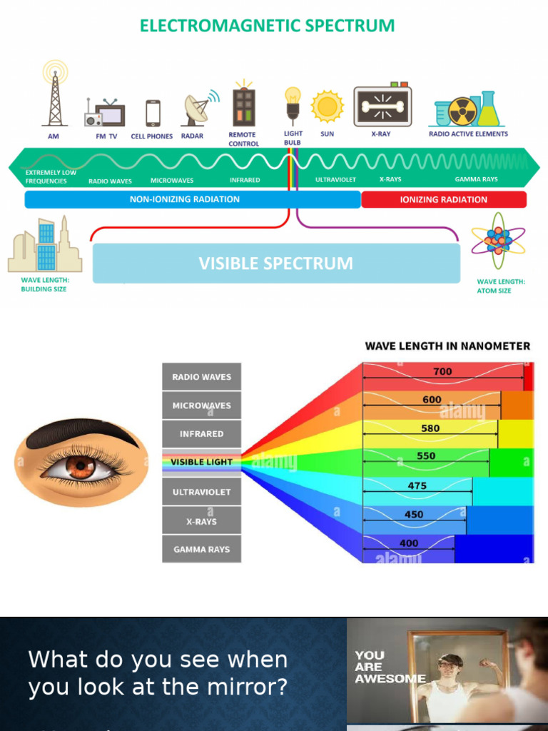 Module 4 Lesson 1 Images Formed by Plane Mirrors 2 | PDF | Mirror ...