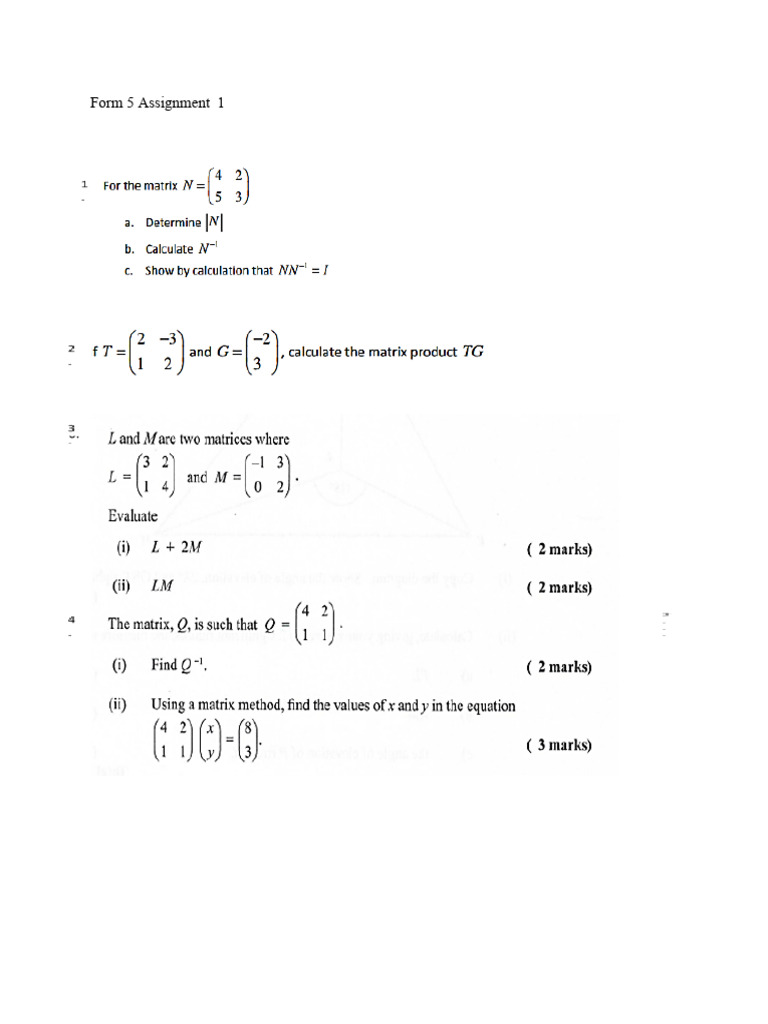 Form 5 Matrices Assignment 1docx | PDF