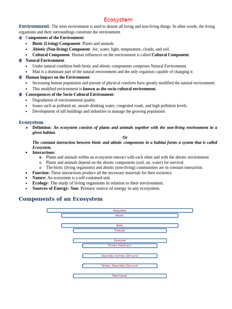 Understanding Forest Ecosystems | PDF | Ecosystem | Food Web
