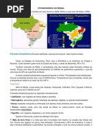 FITOGEOGRAFIA - RESUMO GERAL