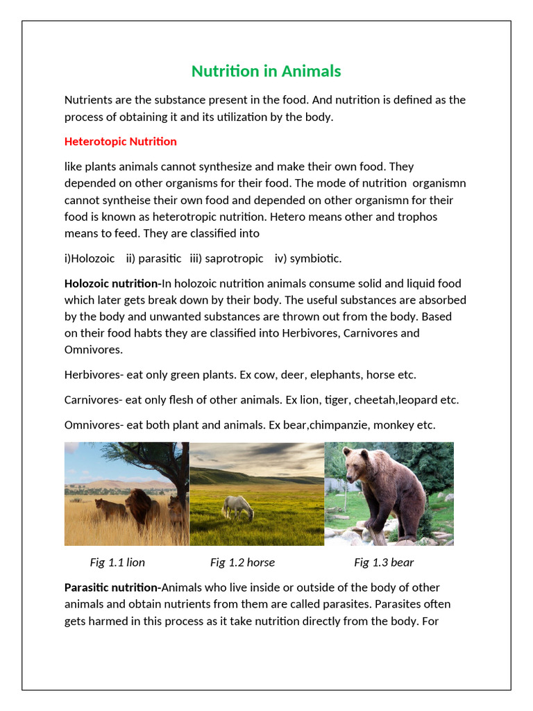 ANIMAL NUTRITION QUESTIONS AND ANSWERS PDF GRADE 12 PDF DOWNLOAD visual data 3