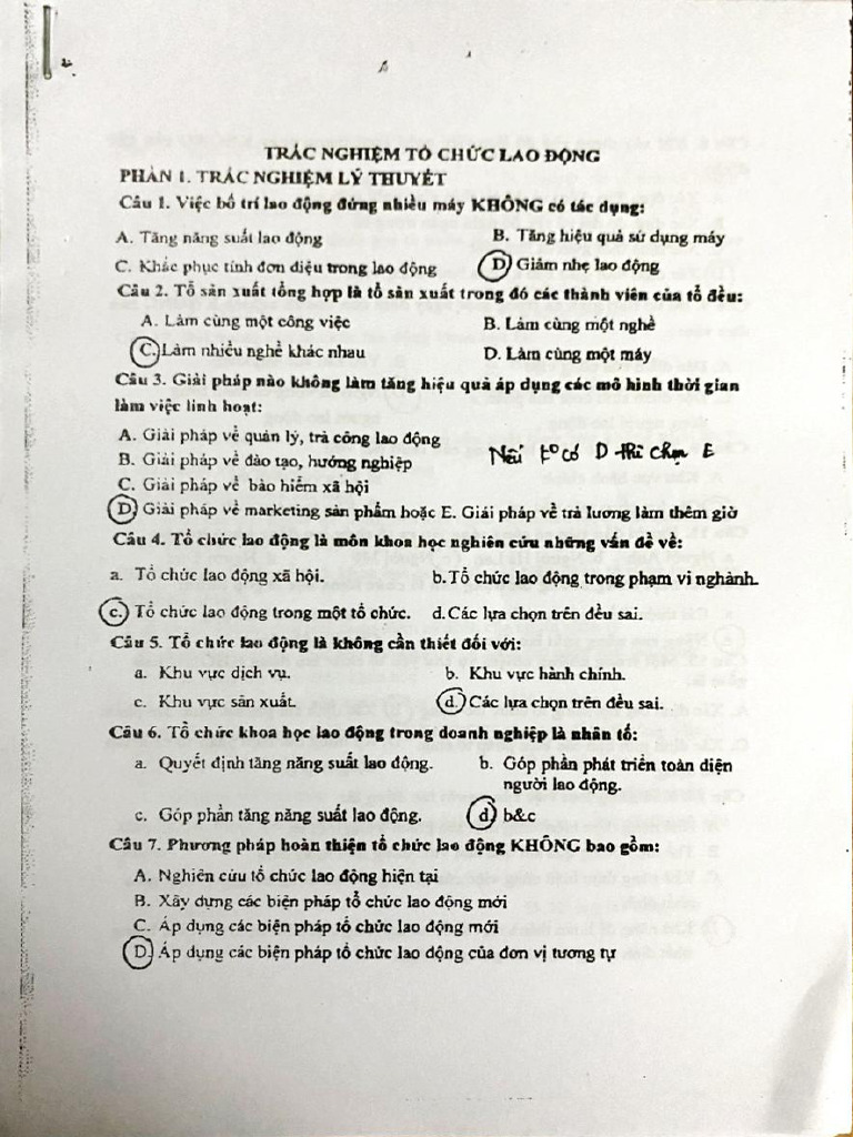 T CH C Lao Đ NG | PDF