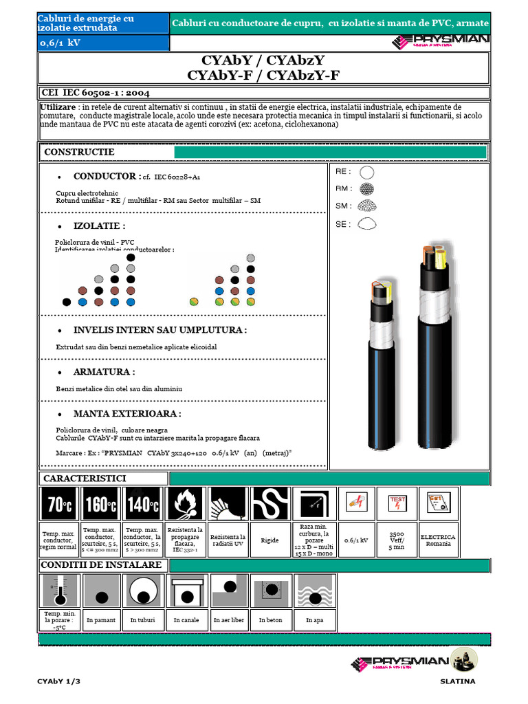 CYAb Y | PDF
