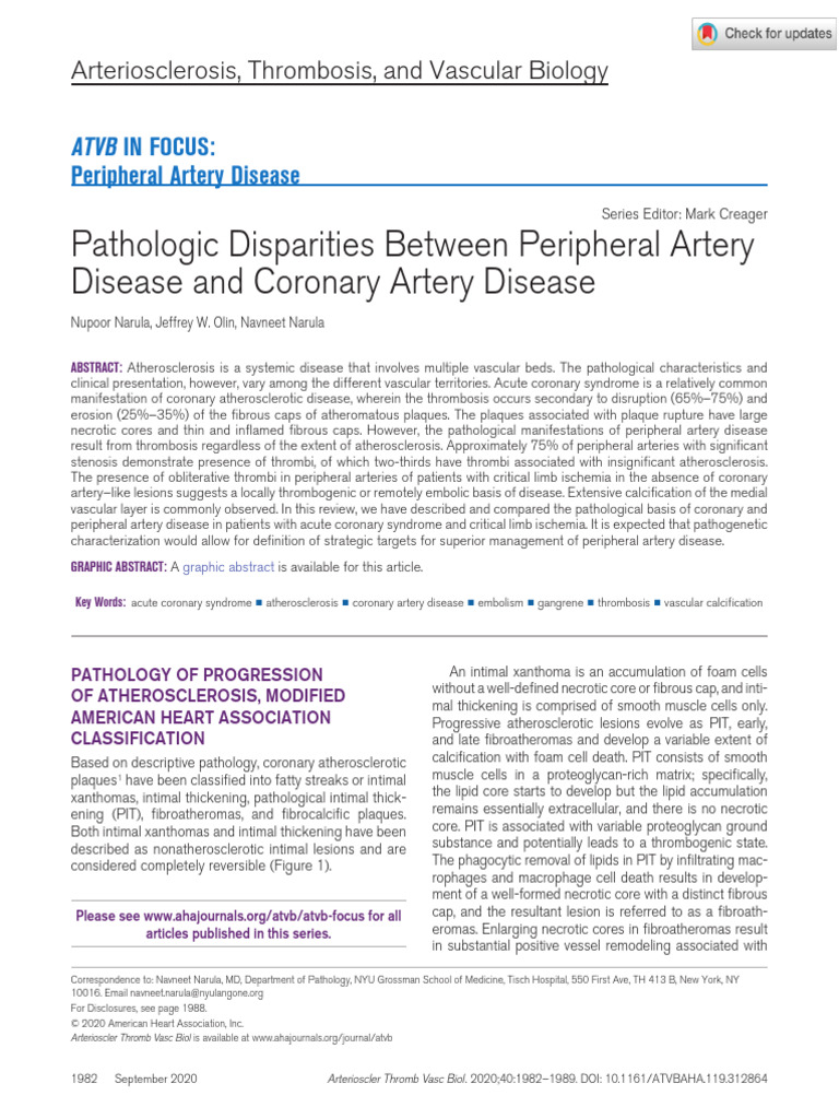 Pathology of Artery Diseases Explained | PDF | Atherosclerosis | Atheroma