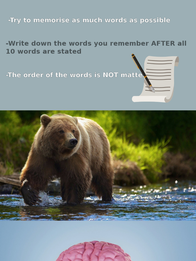 Learning Styles Teory | PDF