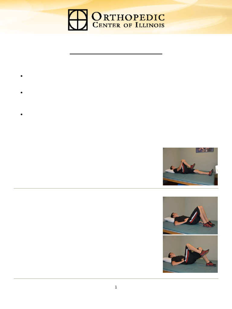 Low Back Pain1 | PDF | Anatomical Terms Of Motion | Musculoskeletal System