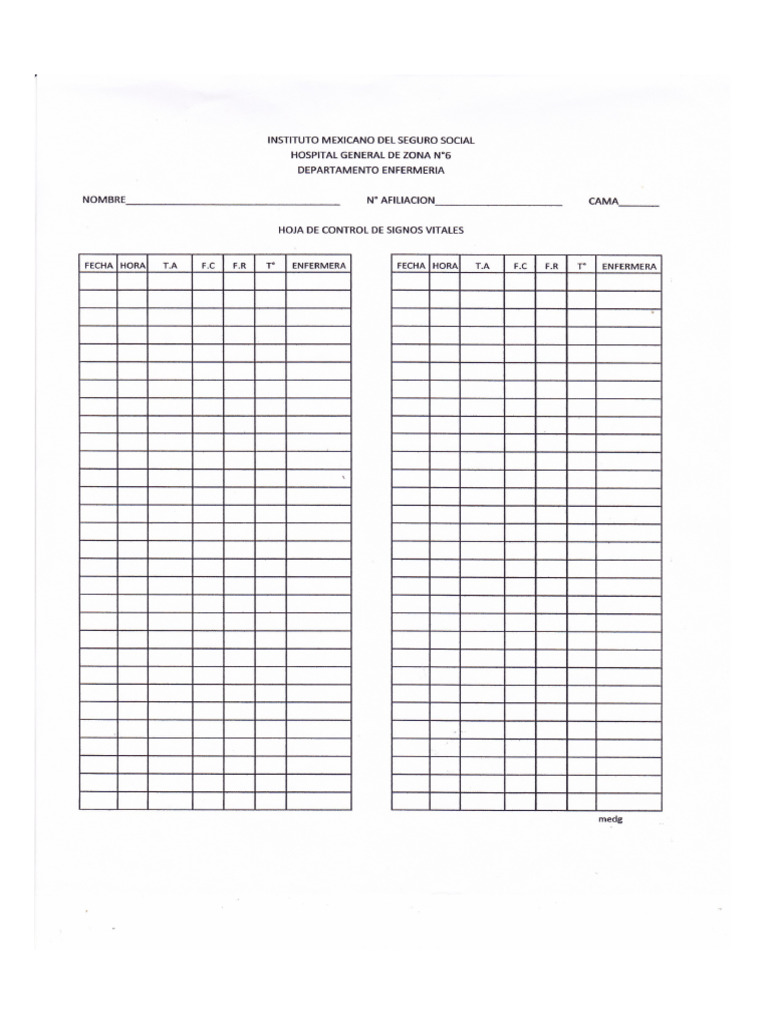 Formato Signos Vitales | PDF