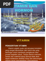 Download Vitamin Dan Hormon by Hermawan Dwi Afandi SN81056057 doc pdf