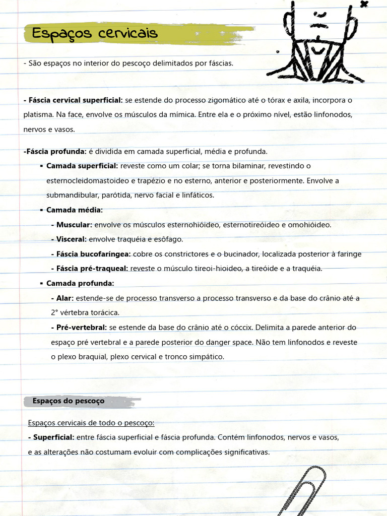 Espacos Cervicais | PDF | Cabeça e pescoço humano | Anatomia humana