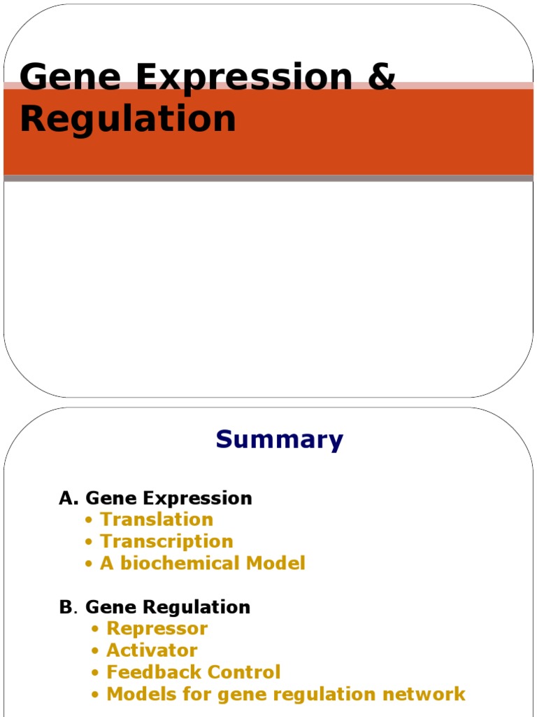 Gene Expression N Regulation | PDF | Rna | Gene Expression