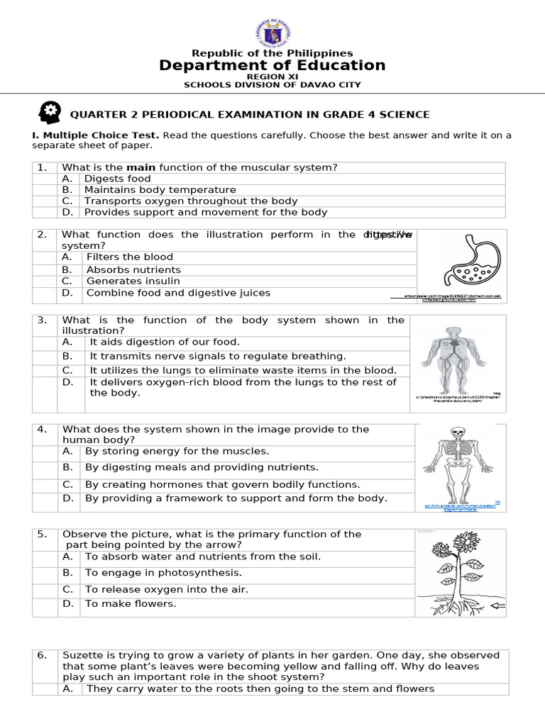 Grade 4 Science Periodical Exam Guide | PDF | Foods | Herbivore