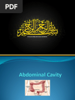 Anatomy of the Colon Explained | PDF | Large Intestine ...