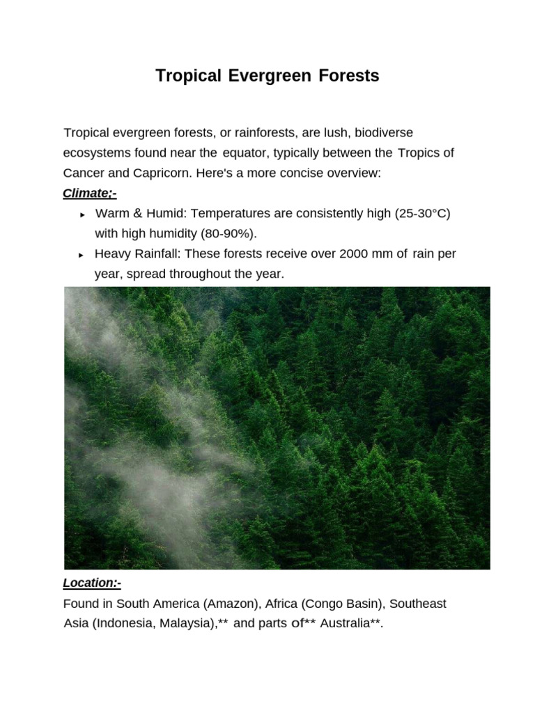 Tropical Evergreen Forests: Climate | PDF