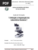 Ma Marcelina Loureiro Fases Da Mitose Em Celulas Vegetais Versao Prof