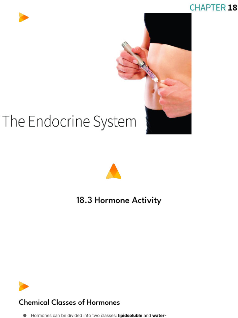 Hormone Classes and Pituitary Functions | PDF | Adrenal Gland | Pancreas