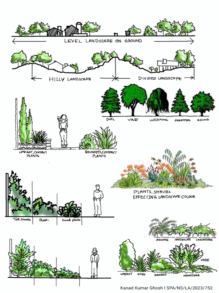Landscape Design Concepts and Features | PDF | Ecology | Natural ...