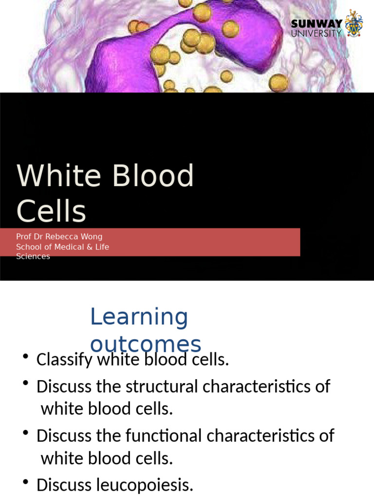 White Blood Cells | PDF | Lymphocyte | White Blood Cell