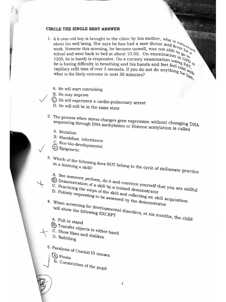 Document 31 | PDF
