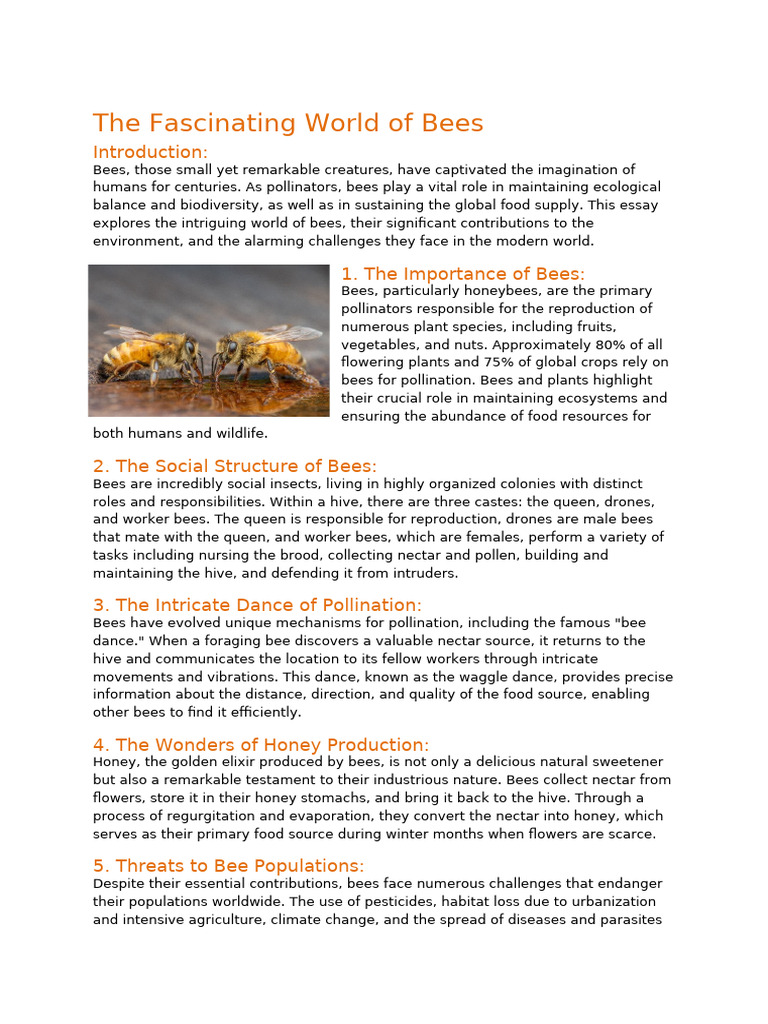 05-03-The Fascinating World of Bees-Start | PDF | Honey Bee | Bees
