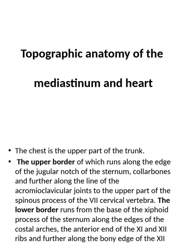 Mediastinum and Heart Anatomy Overview | PDF | Aorta | Thorax