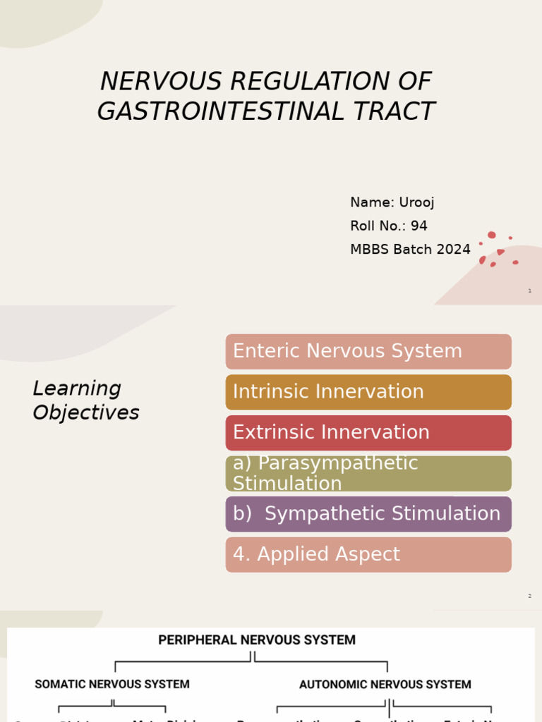 Presentation 17 | PDF | Gastrointestinal Tract | Nerve