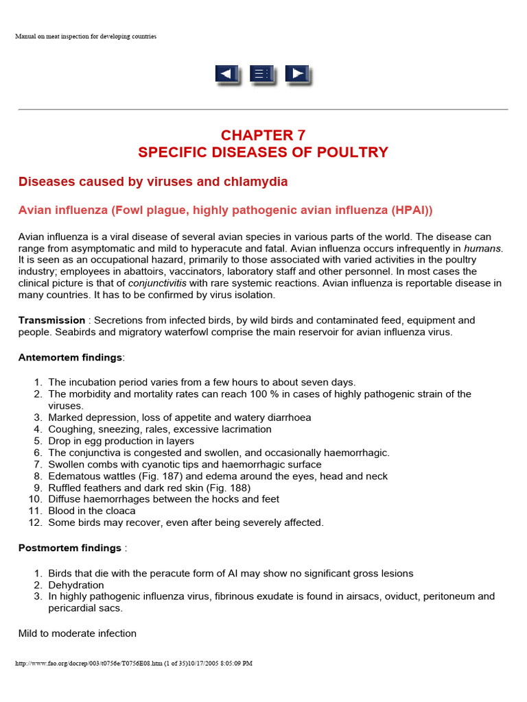 Poultry Diseases 2 | PDF | Influenza | Avian Influenza
