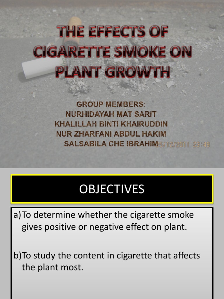 does cigarette smoke affect plant growth Nicotine uptake by peppermint plants as a possible source of nicotine in plant-derived products | Agronomy for Sustainable Development How smoking contributes to air