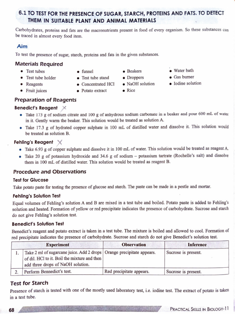 Testing Macronutrients in Food Samples | PDF | Chemistry | Chemical ...