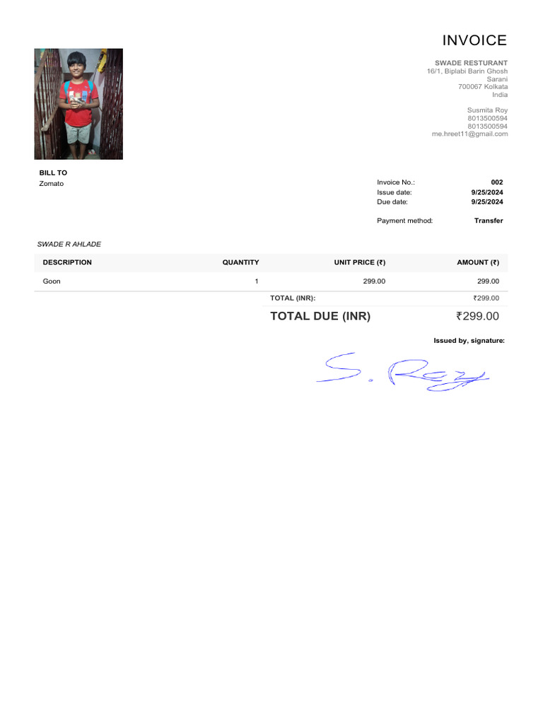 Invoice: Total Due (Inr) | PDF