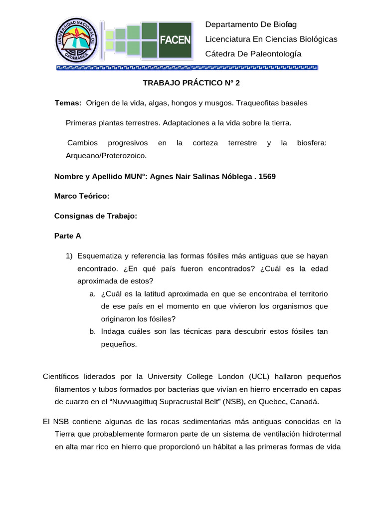 Trabajo Practico 22024 | PDF | Roca (geología) | Fósil