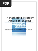Download American Express Marketing by Vikramaditya Muralidharan SN81079113 doc pdf