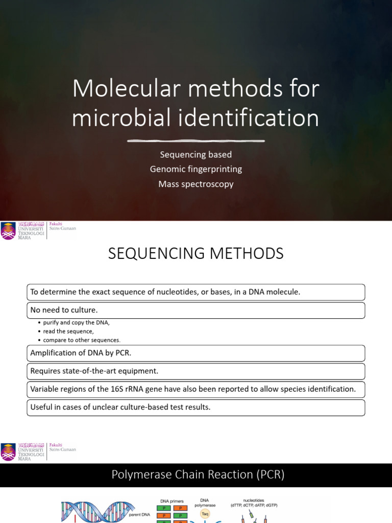 2 3 Microbial Identification Molecular Methods Pdf Ribosomal Rna Rna