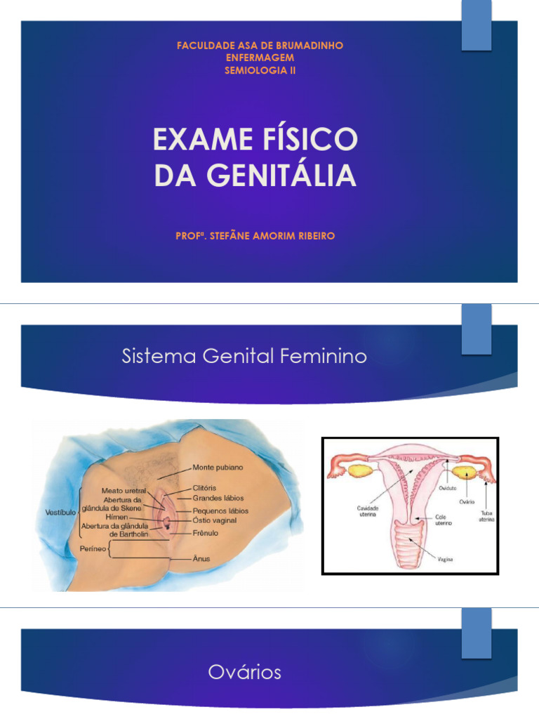 Anatomia e Exame da Genitália Feminina | PDF | Vagina | Anatomia sexual