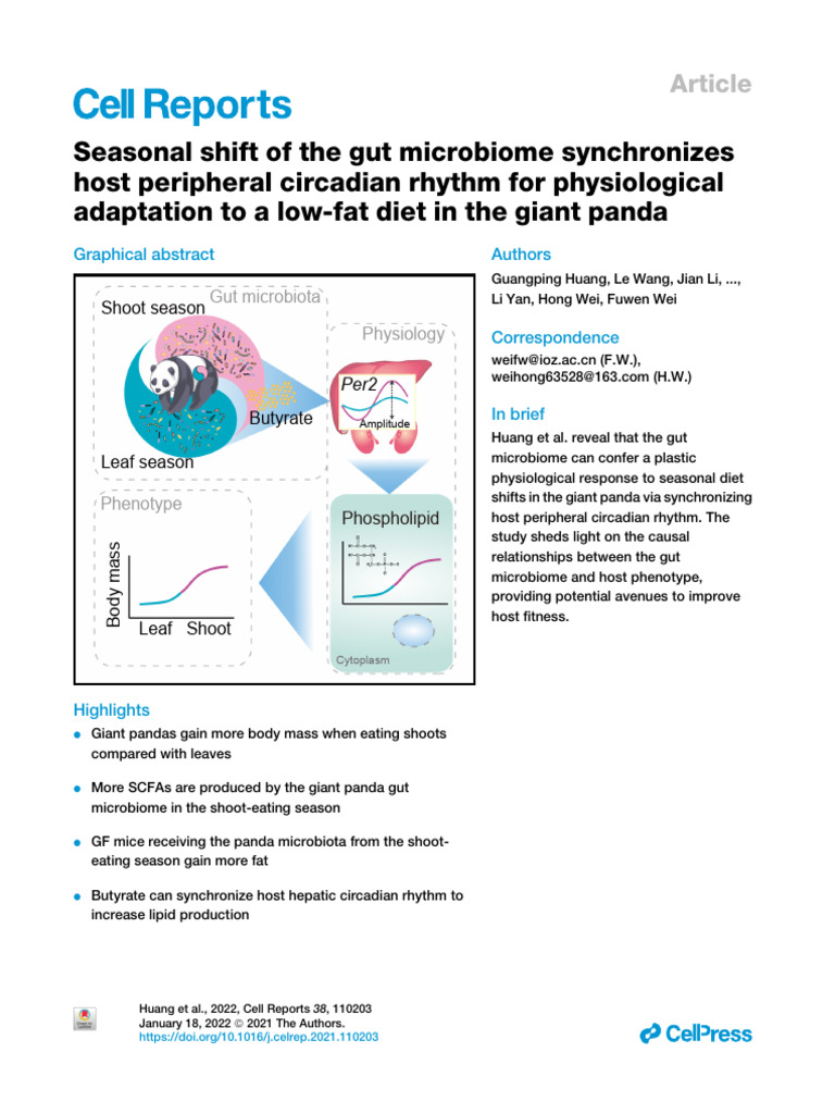 Final Paper Bio | PDF | Biology