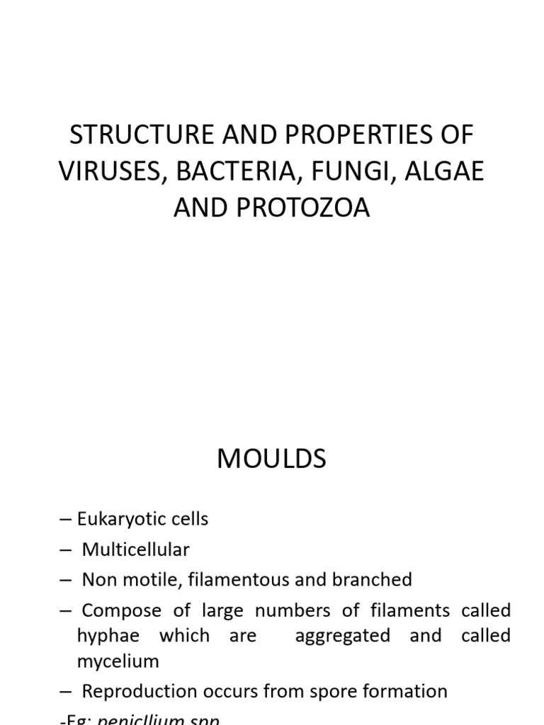 Week 7 Microbiology | PDF | Protozoa | Microorganism