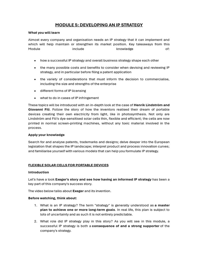 IP Strategy for Provisional Managers | PDF | Intellectual Property | Patent