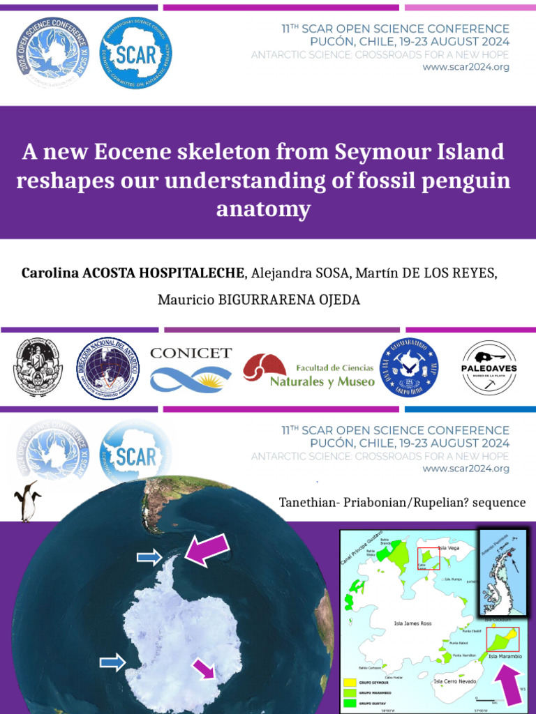 Scar Pucón 2024 | PDF | Penguin | Neognathae