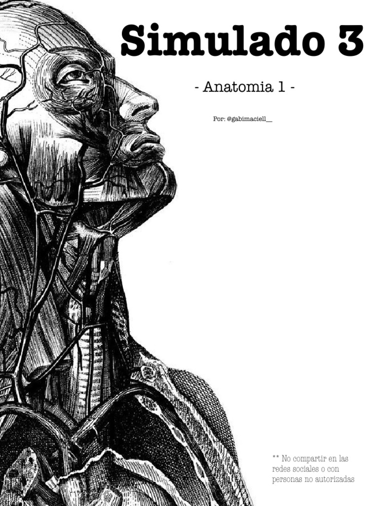 Anatomia Prática Pdf Tórax Sistema Musculoesquelético