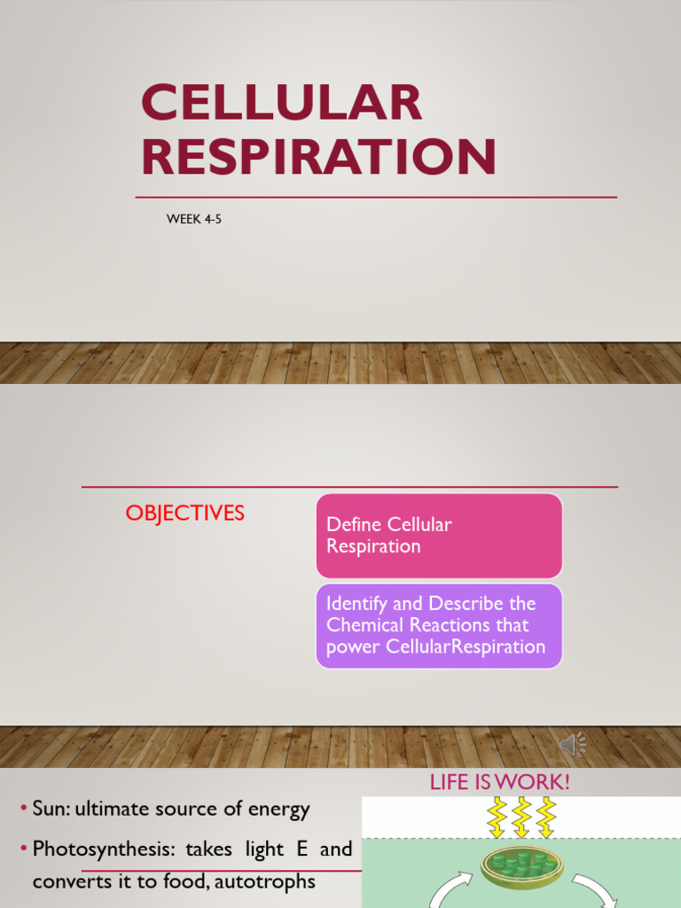 Cellular Respiration Overview and Processes | PDF | Cellular ...