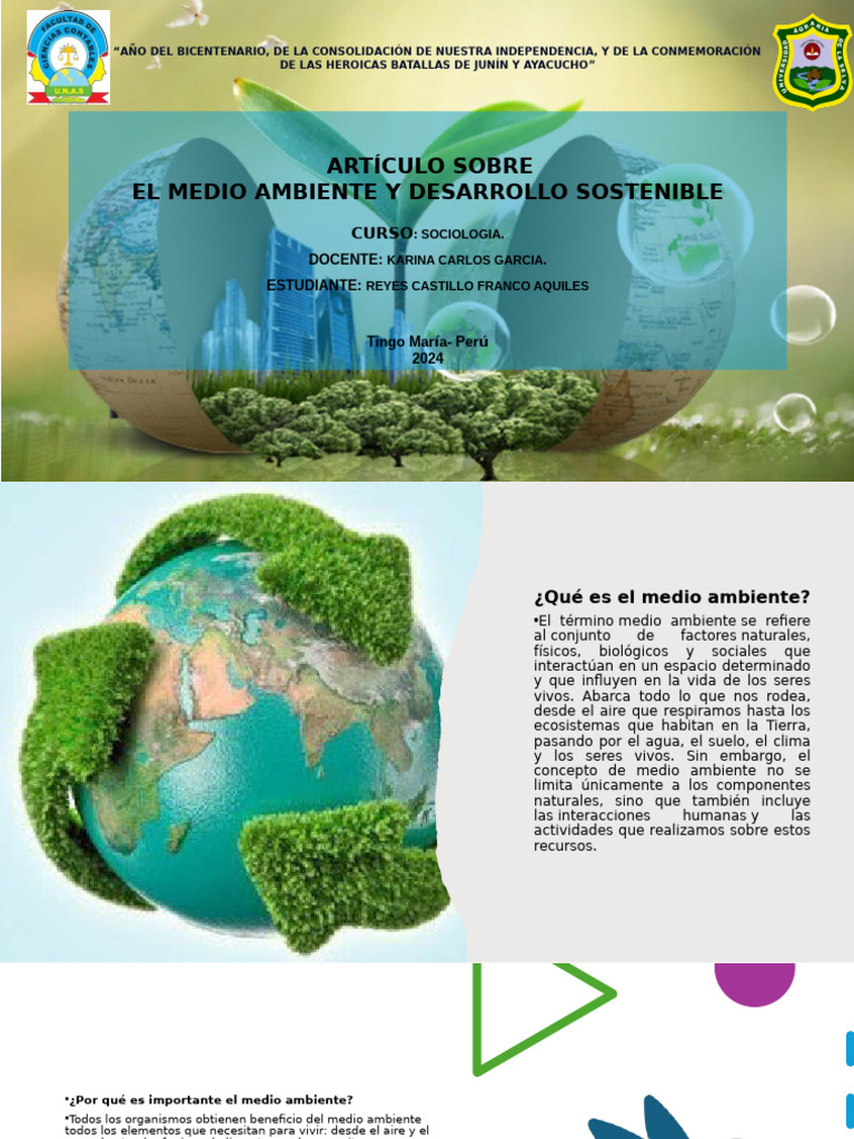 Importancia del Medio Ambiente Sostenible | PDF | Entorno natural ...