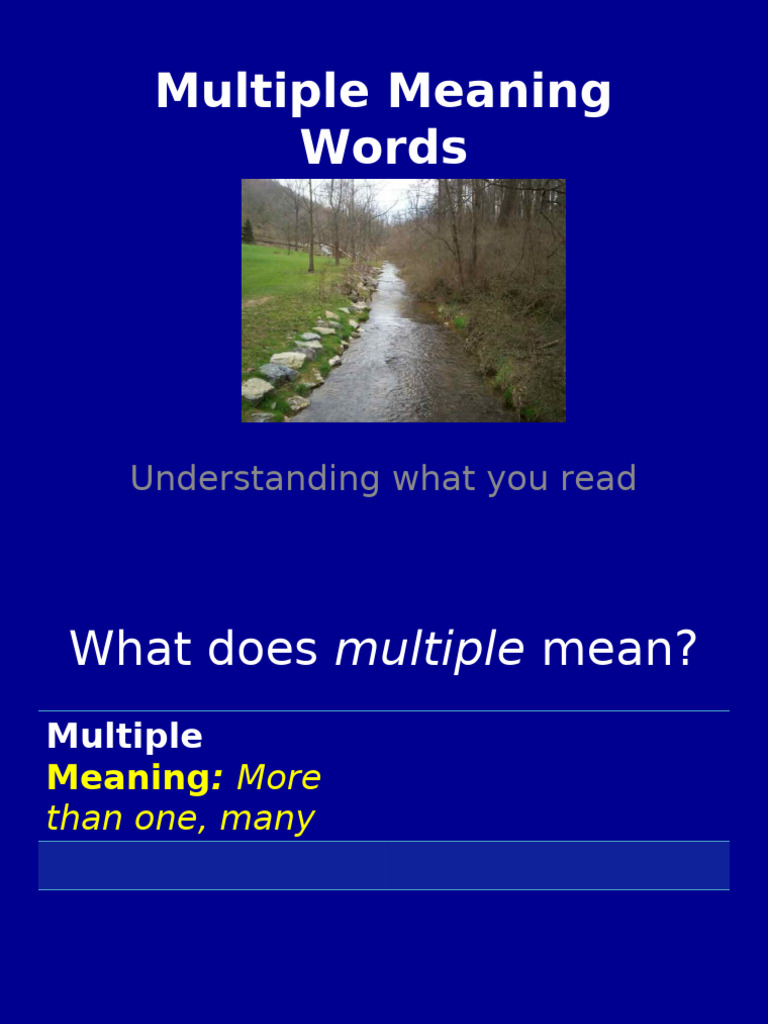 Understanding Multiple Meaning Words | PDF