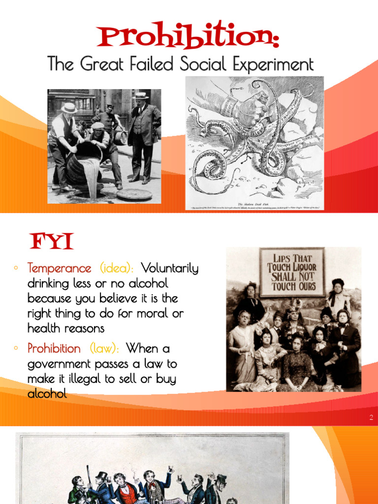 PROHIBITION IN THE UNITED STATES intelligence overview