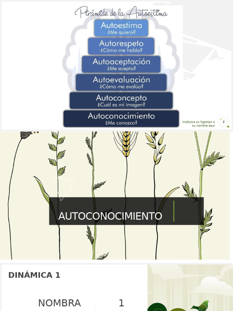 Dinámicas De Autoconocimiento Y Reflexión Pdf