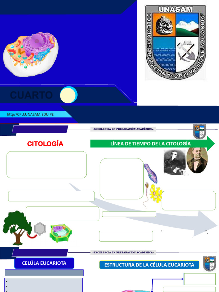 Cuarto y Quintoo | PDF | Cloroplasto | Respiración celular
