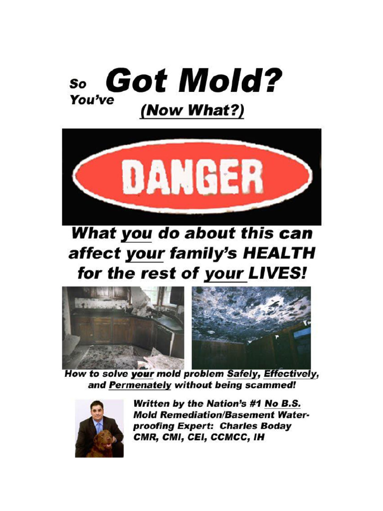 got mold now what | PDF | Mold | Infection