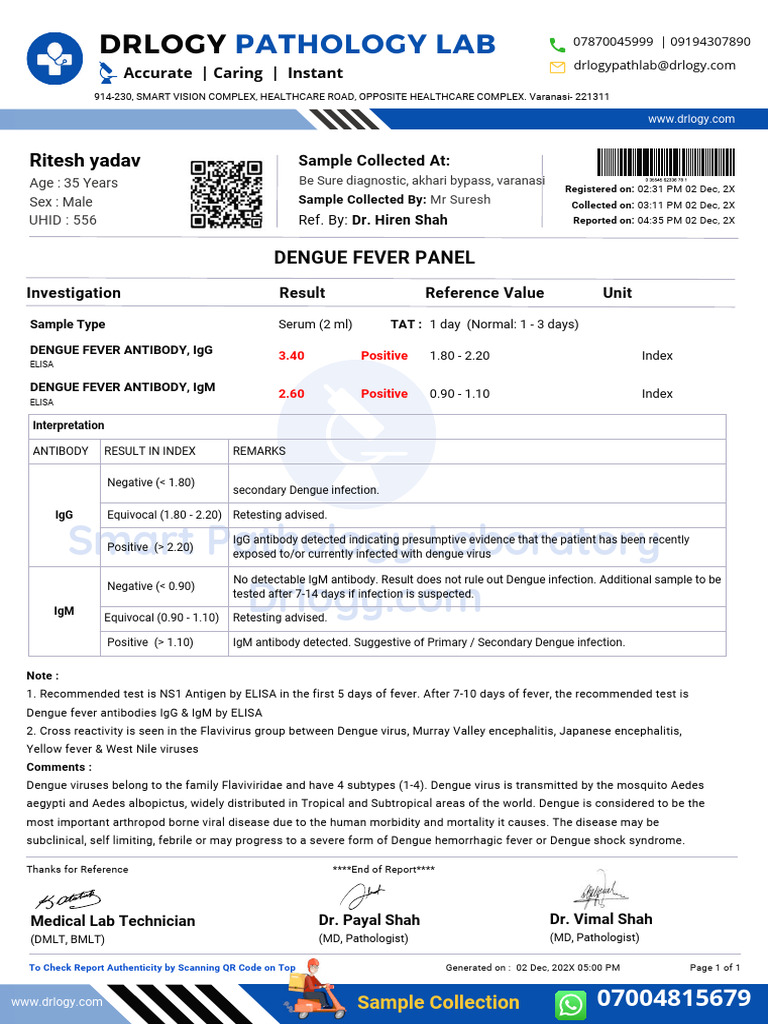 Dengue Fever Test Report Format Example S - 250103 - 092029 | PDF ...