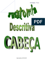 Anatomia da cabeça