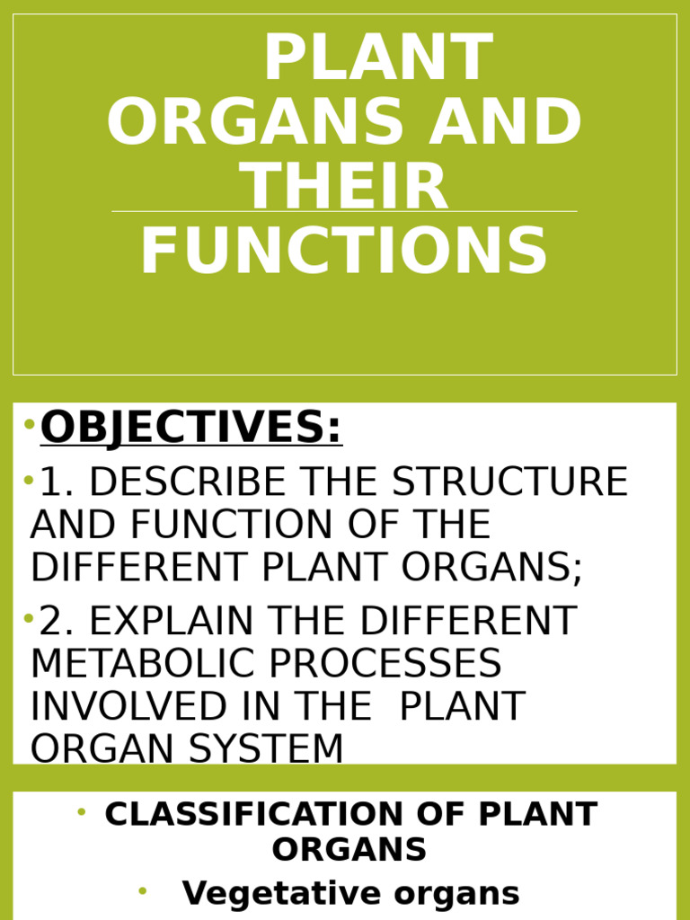 Plant Organs & Adaptations | PDF | Leaf | Plants