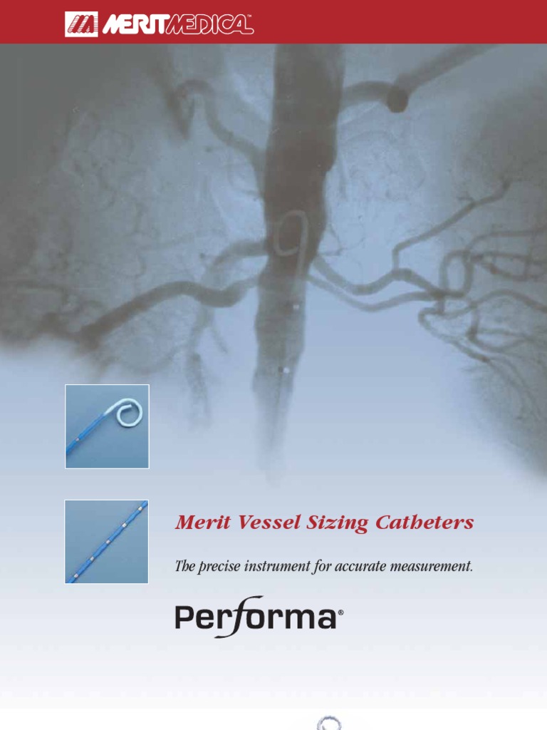 Merit Vessel Sizing Catheters Clinical Medicine Nature
